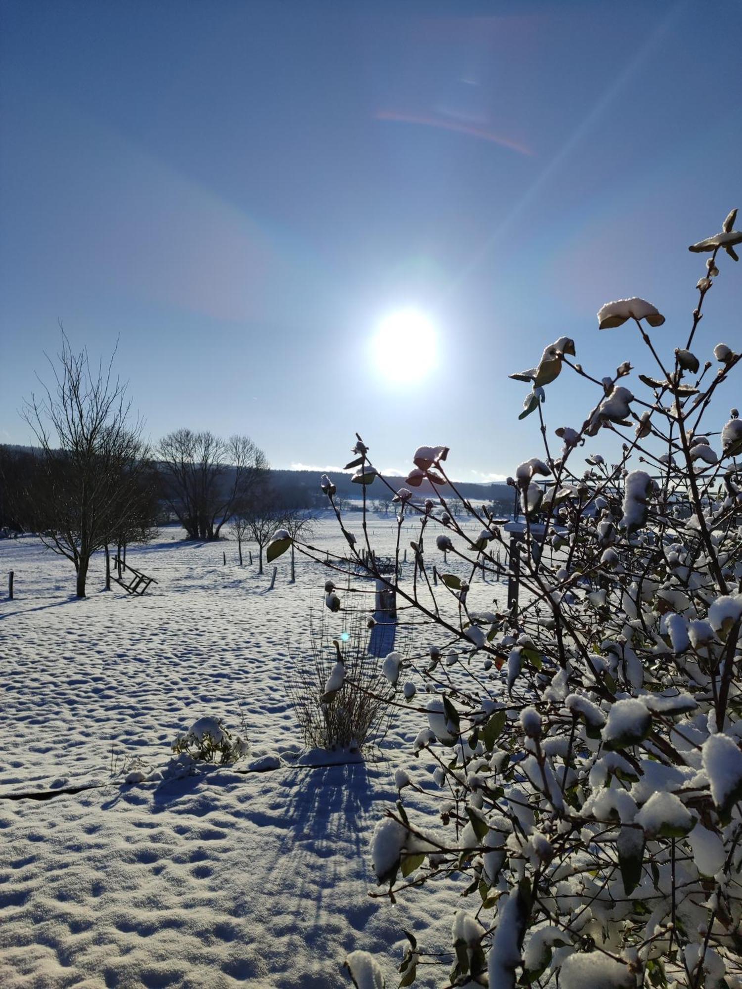 La croisée des champs, gîte entre Durbuy et La Roche en Ardenne Érezée Esterno foto