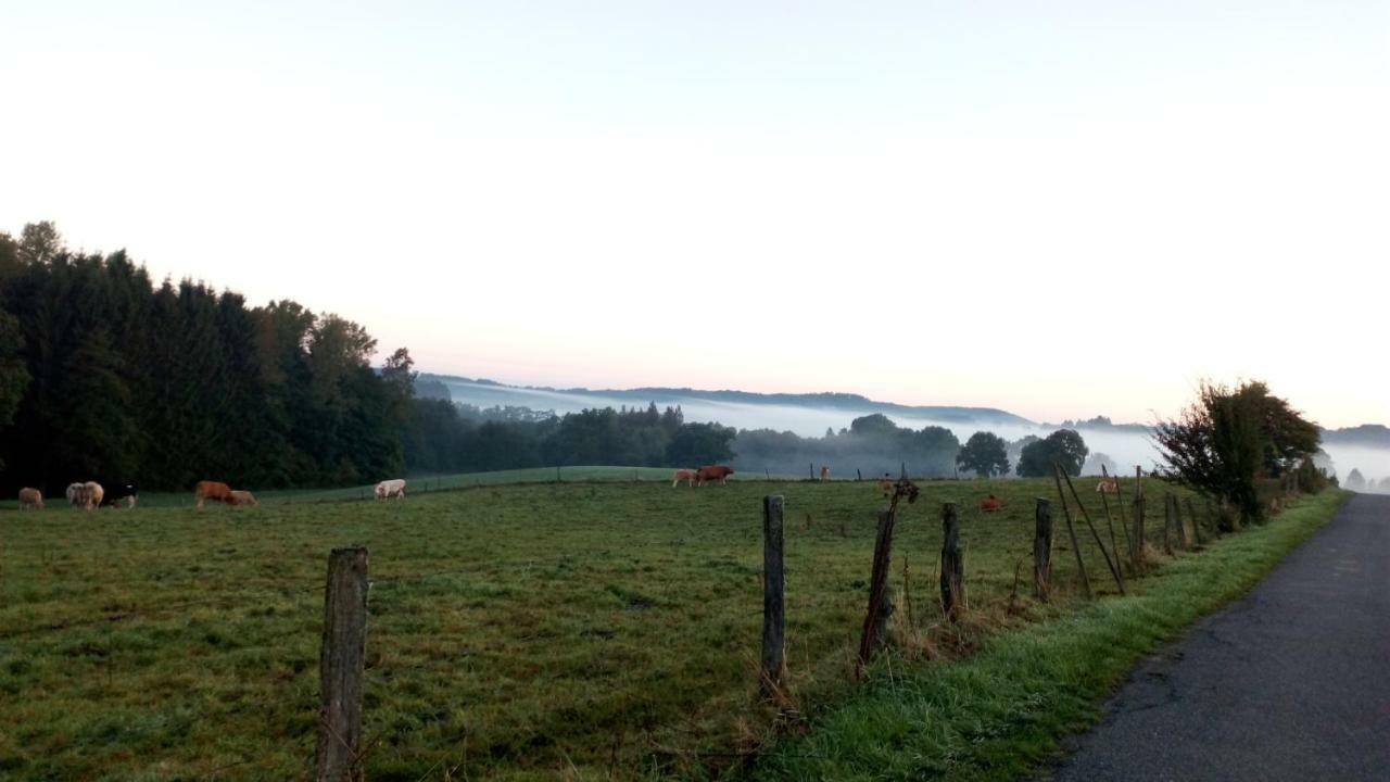 La croisée des champs, gîte entre Durbuy et La Roche en Ardenne Érezée Esterno foto